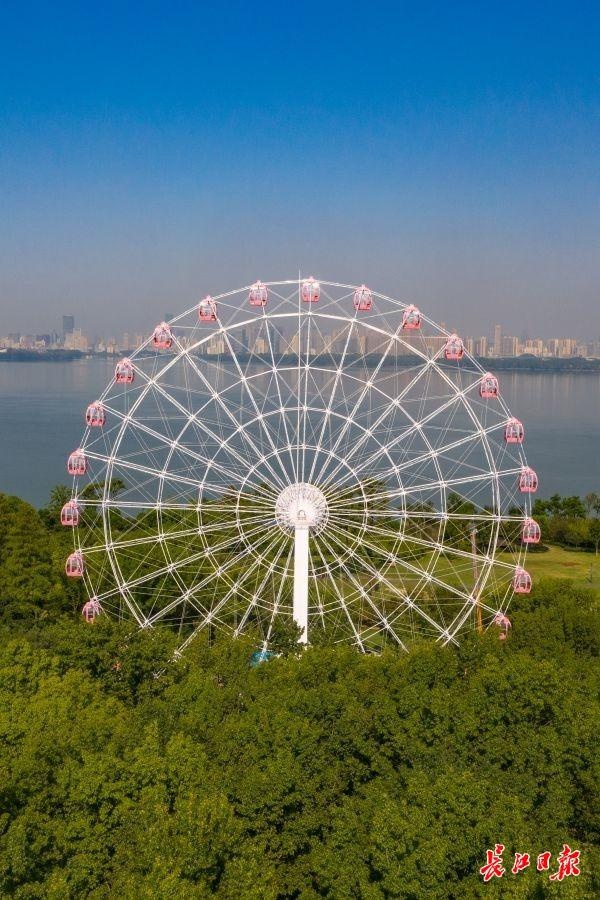 武汉@你，这里有张国庆打卡大全请查收