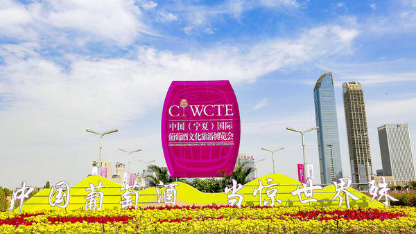 展示推介，合作交流！省酒业转型发展代表团出席首届宁夏国际葡萄酒文化旅游博览会