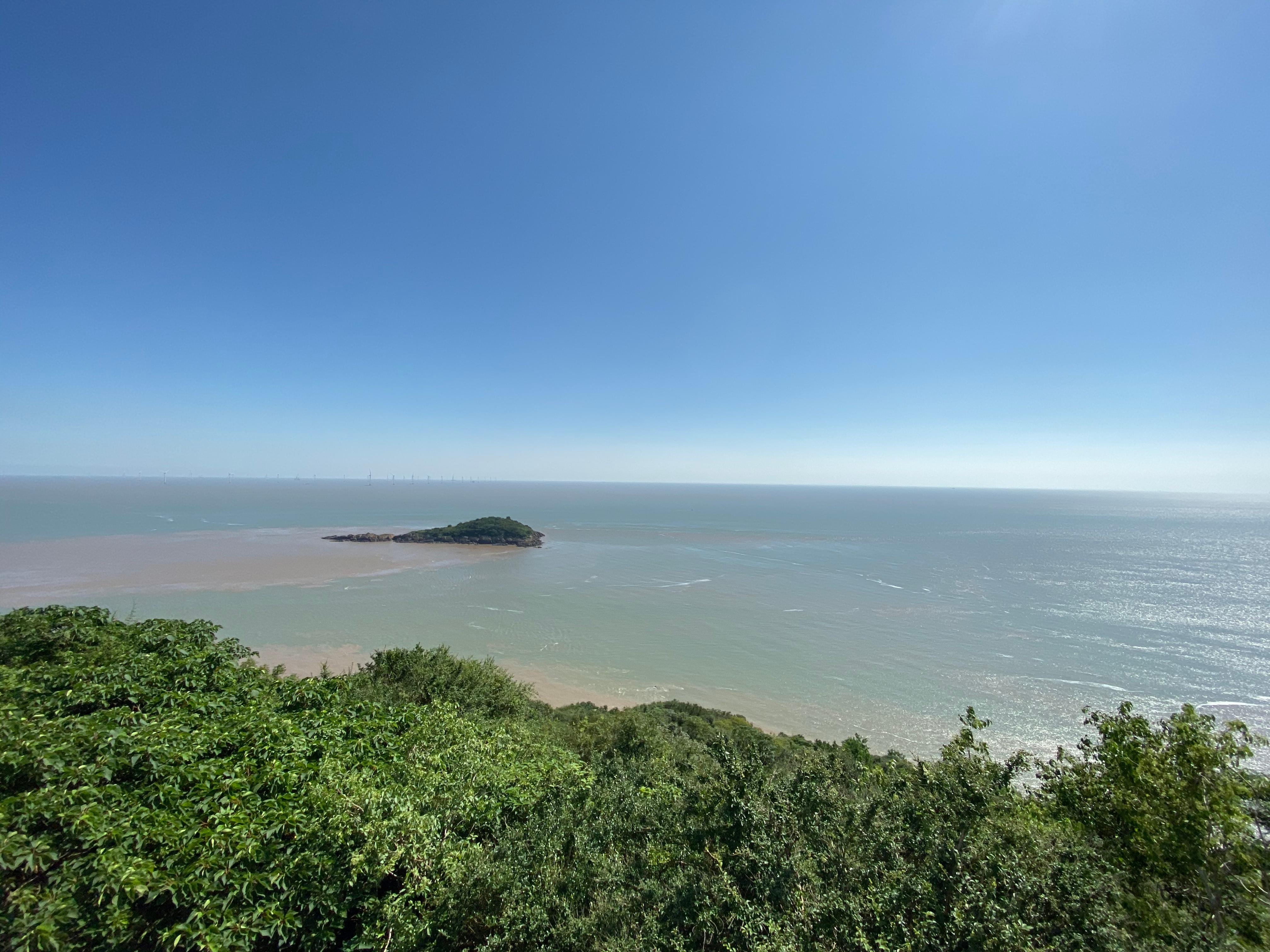 "神奇"的动物在上海|大金山岛上,"岛主"猕猴出没