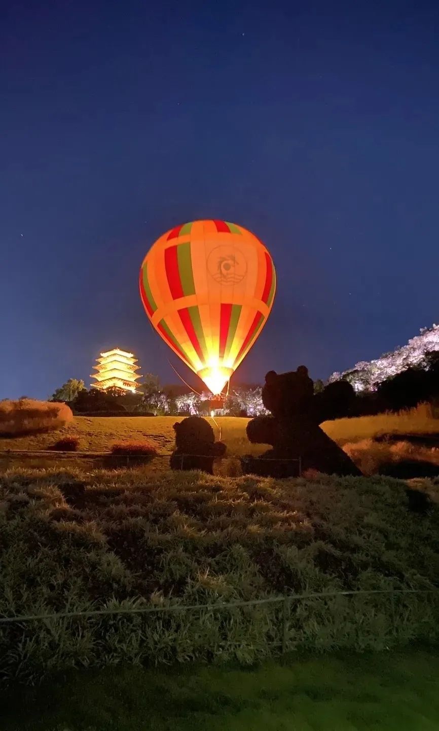 门票售罄、交通管制、降温降雨......出行请注意！