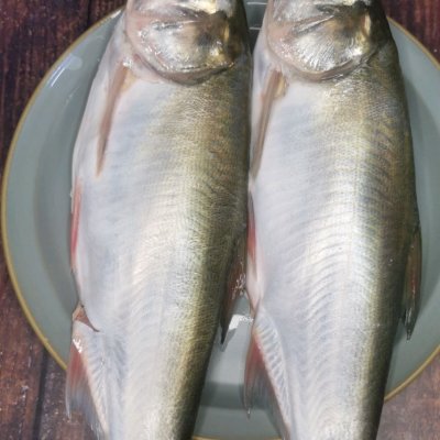 魚頭燉豆腐,魚頭燉豆腐的家常做法