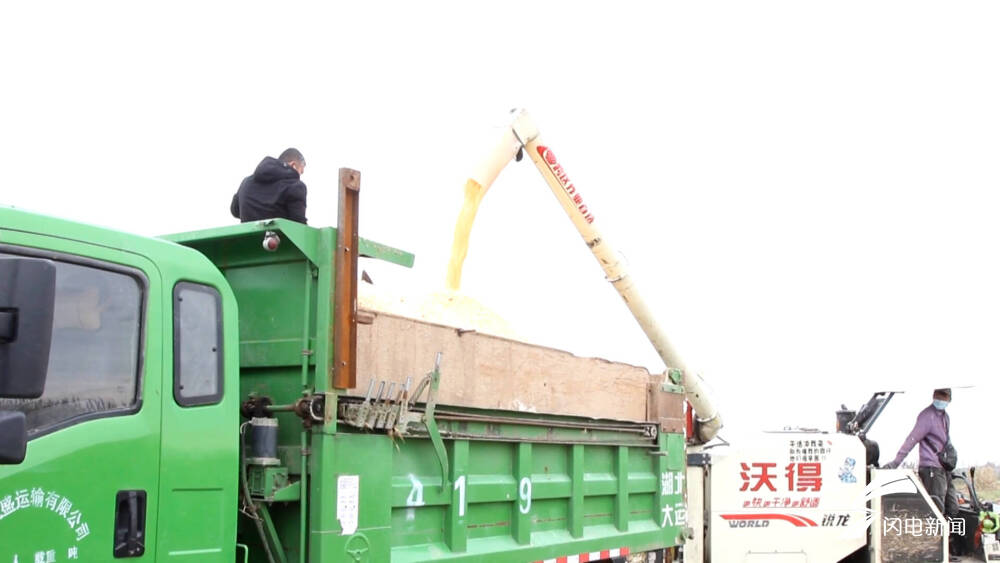 德州平原調(diào)配200余臺(tái)履帶式玉米收割機(jī) 黨員干部“田埂作戰(zhàn)”保秋收
