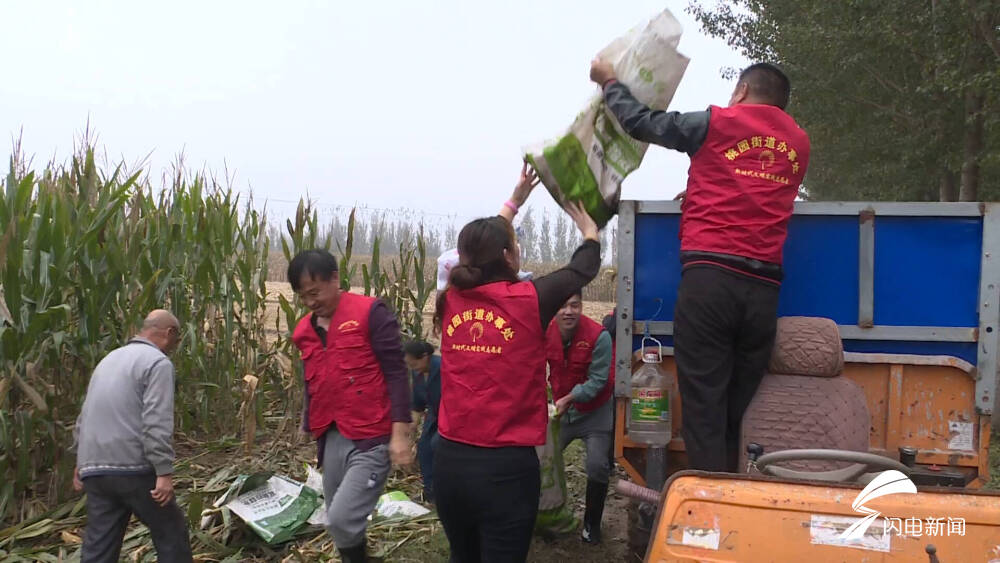 德州平原調(diào)配200余臺(tái)履帶式玉米收割機(jī) 黨員干部“田埂作戰(zhàn)”保秋收