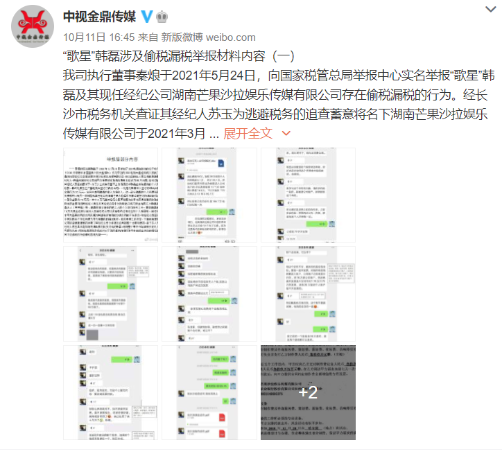 举报材料,举报材料怎么写范文