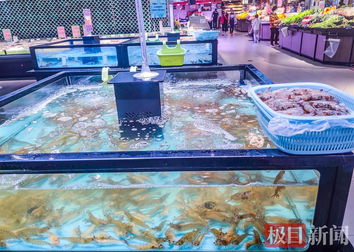 鮑魚價格,鮑魚價格是多少錢一斤