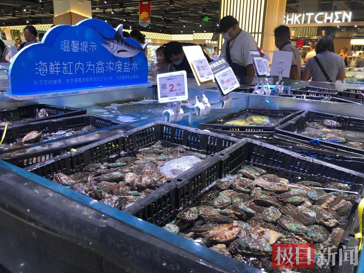 鮑魚價格,鮑魚價格是多少錢一斤