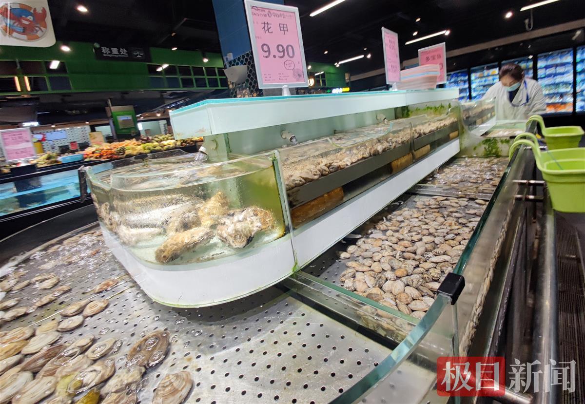 鮑魚價格,鮑魚價格是多少錢一斤