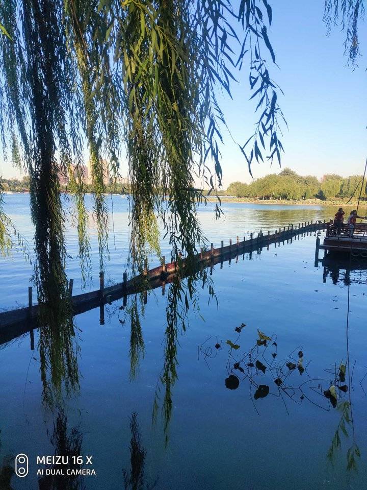 秋天的大明湖，目光所至皆是风景