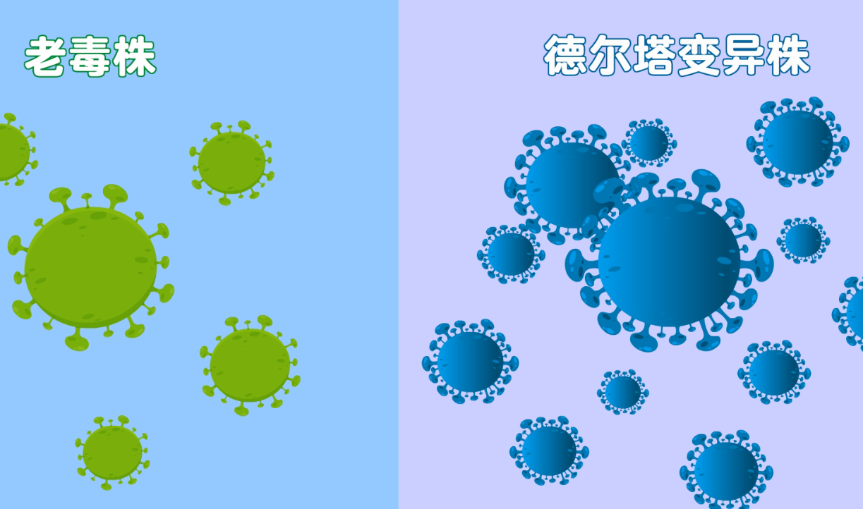 2021新冠肺炎疫苗科普知识