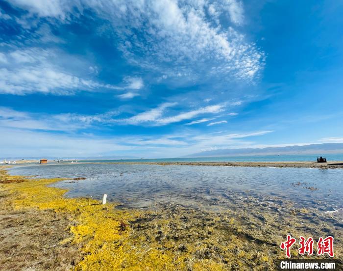 中国最大内陆咸水湖水体面积增至17年来最大值