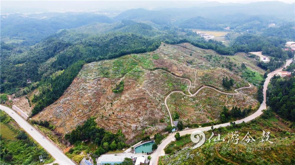 甜！台湾神仙眷侣在仙游种特产（附价目表）