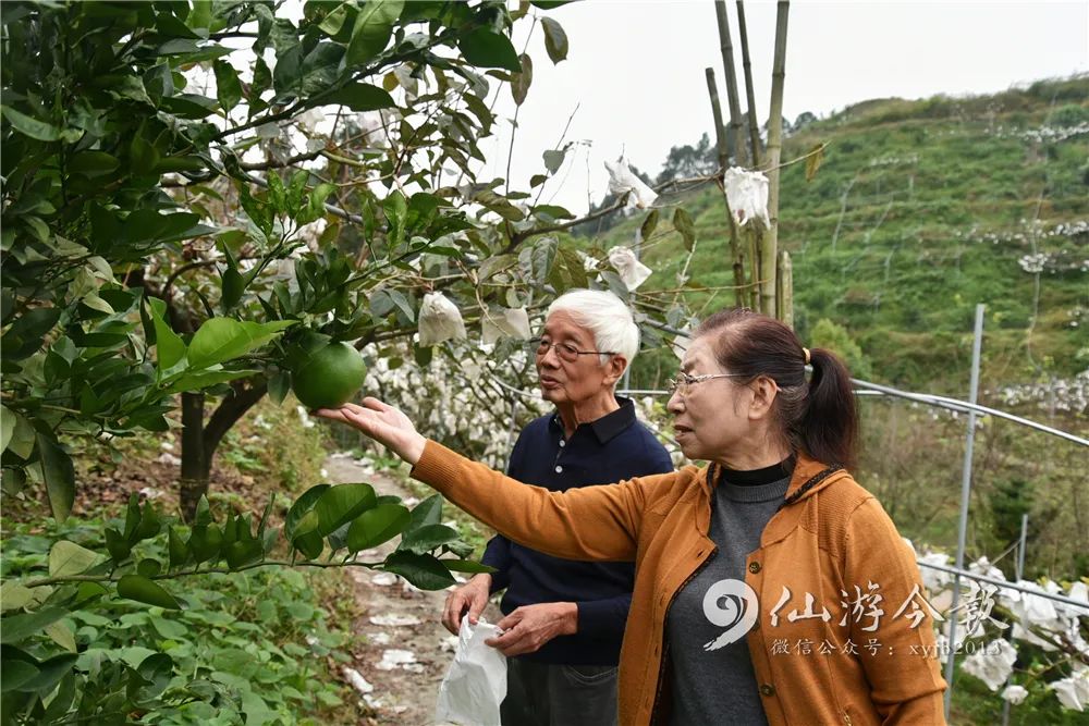 甜！台湾神仙眷侣在仙游种特产（附价目表）