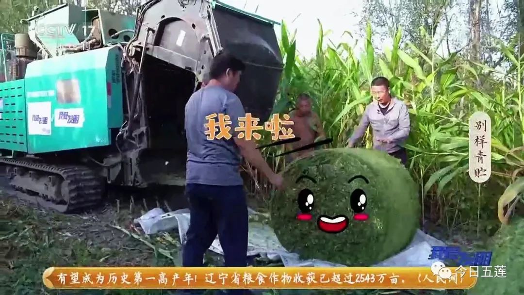 火了！五莲发明的这个机器上央视了！