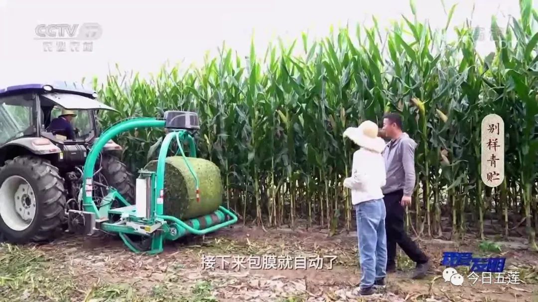 火了！五蓮發(fā)明的這個(gè)機(jī)器上央視了！