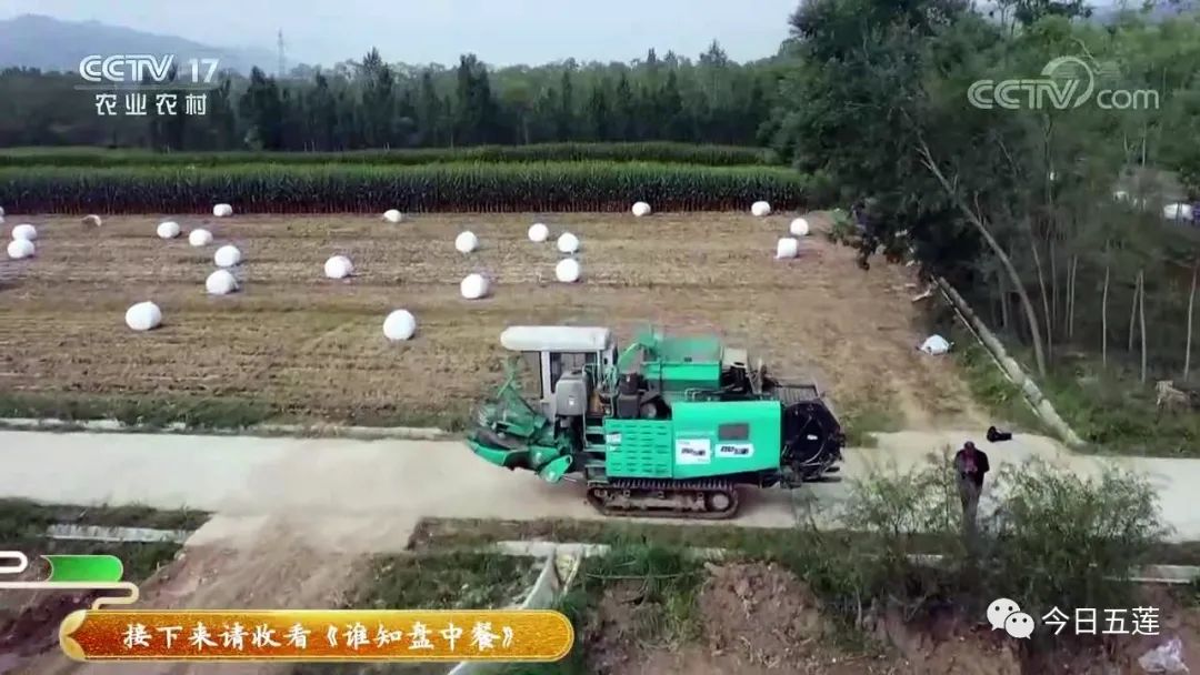 火了！五蓮發(fā)明的這個(gè)機(jī)器上央視了！