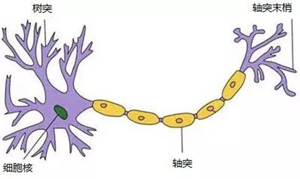 人工智能时代，神经网络的原理及使用方法 | 微课堂