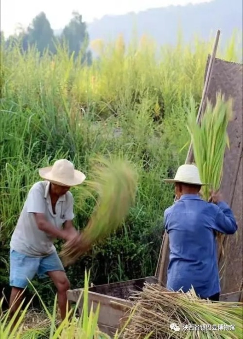 登錄查看大圖
