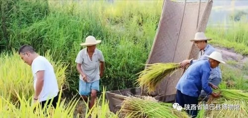 登錄查看大圖