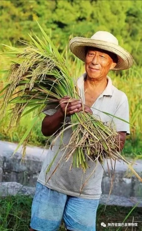 登錄查看大圖