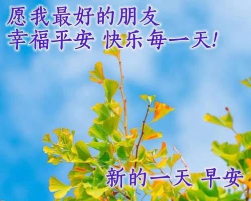 清晨美好正能量励志语录，清新带字图片安康问候祝福图片大全