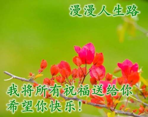 清晨美好正能量励志语录，清新带字图片安康问候祝福图片大全