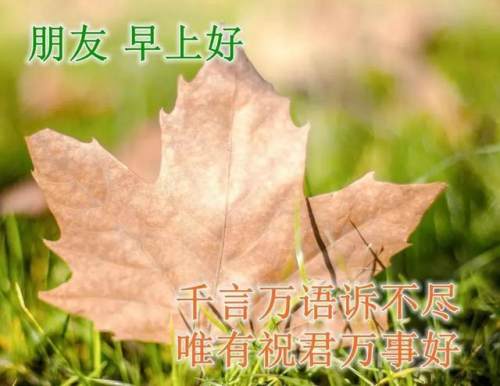 清晨美好正能量励志语录，清新带字图片安康问候祝福图片大全