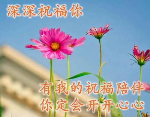 清晨美好正能量励志语录，清新带字图片安康问候祝福图片大全