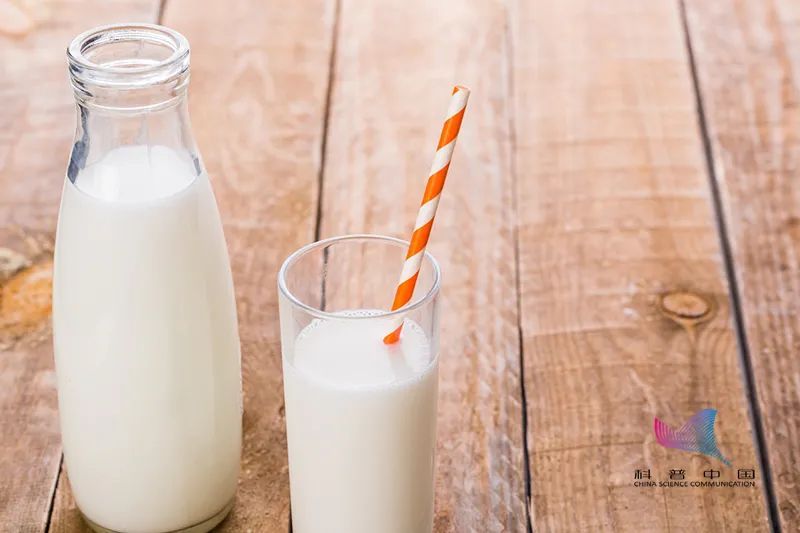 什么牛奶最有营养，三种奶到底哪个营养价值更高？