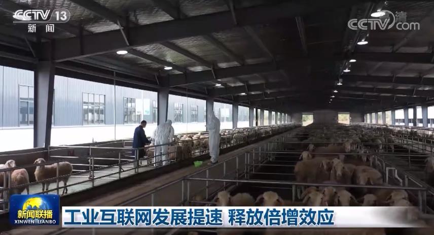 工业互联网发展提速 释放倍增效应