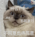 "连请假理由都懒得编了"冲上热搜！网友：这题我会