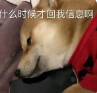 "连请假理由都懒得编了"冲上热搜！网友：这题我会
