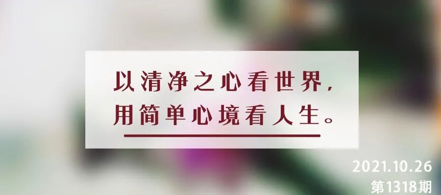 夜读丨杨绛：人间清醒的4句话，读懂受益终身