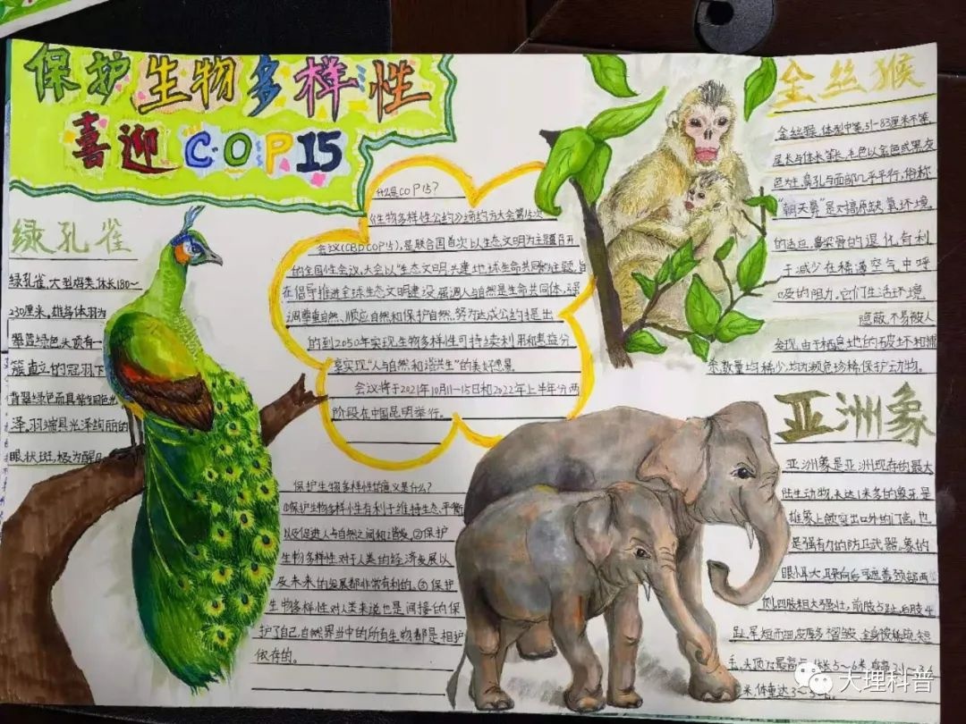 15,保护生物多样性"为主题,联合举办了巍山县第七届青少年科普手抄报