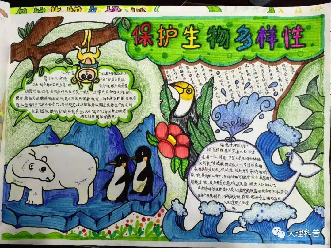 巍山青华绿孔雀省级自然保护区管护局,巍山县教体局以"喜迎cop15,保护