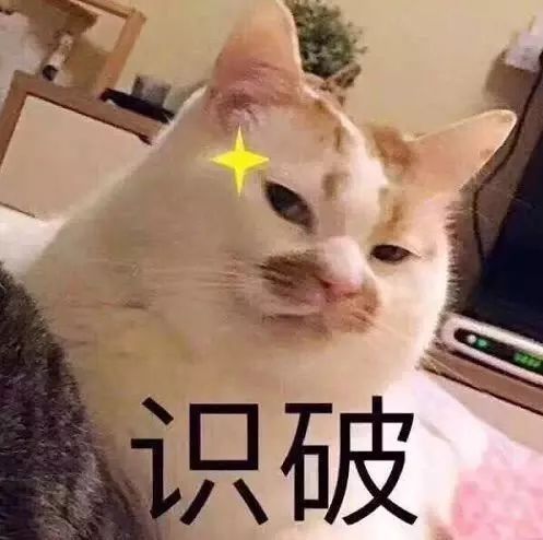 南昌交通违章查询,南昌交通违章查询网