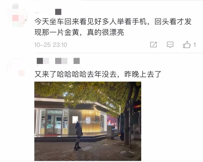 @庄亲，又是深秋，再赴与一棵树的约会……