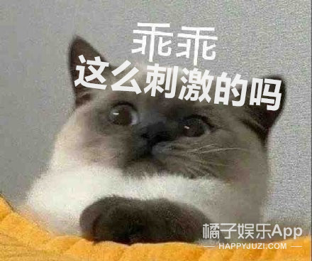 这也算甜甜的恋爱？三角恋男女嘉宾粉丝吵架？女嘉宾被批没教养？