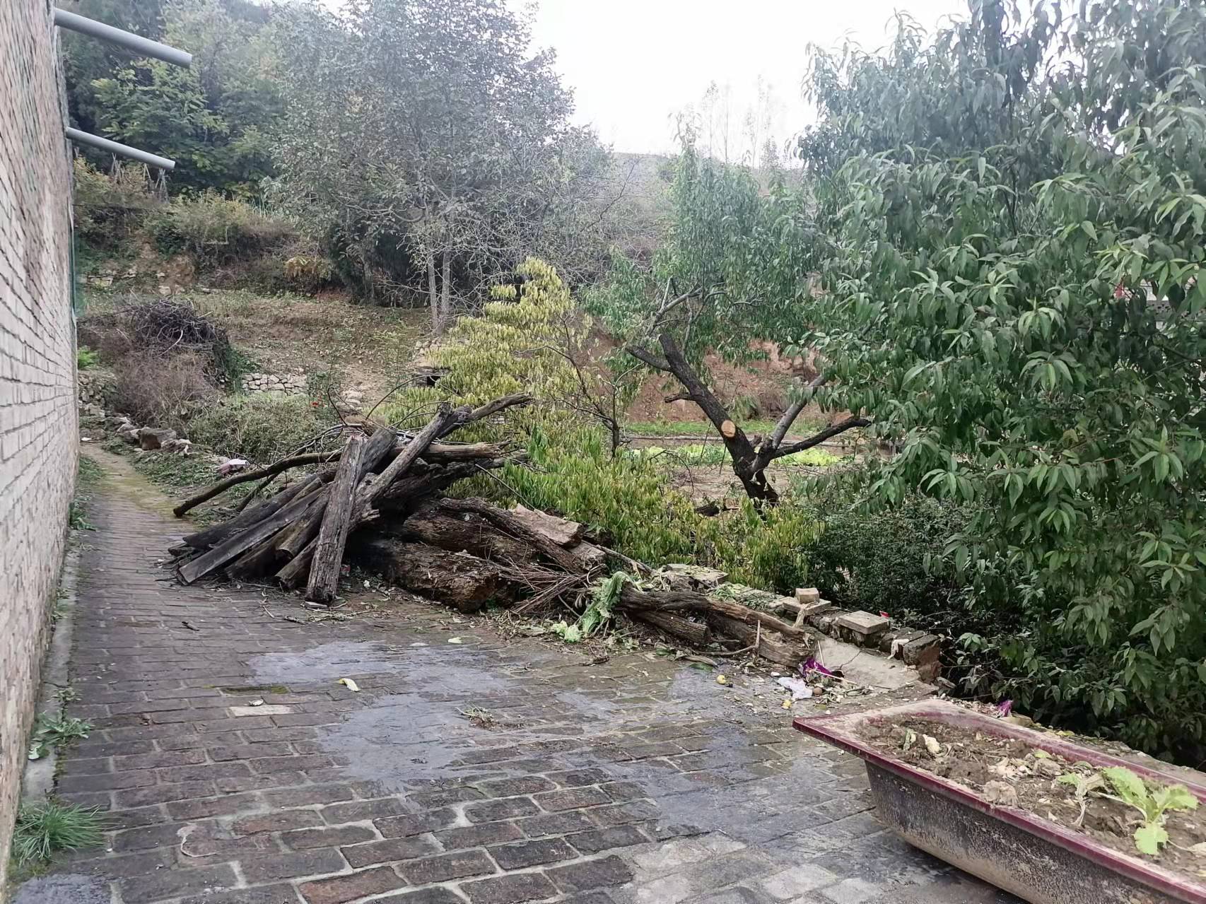 爆裂无声：半生矿工遇暴雨