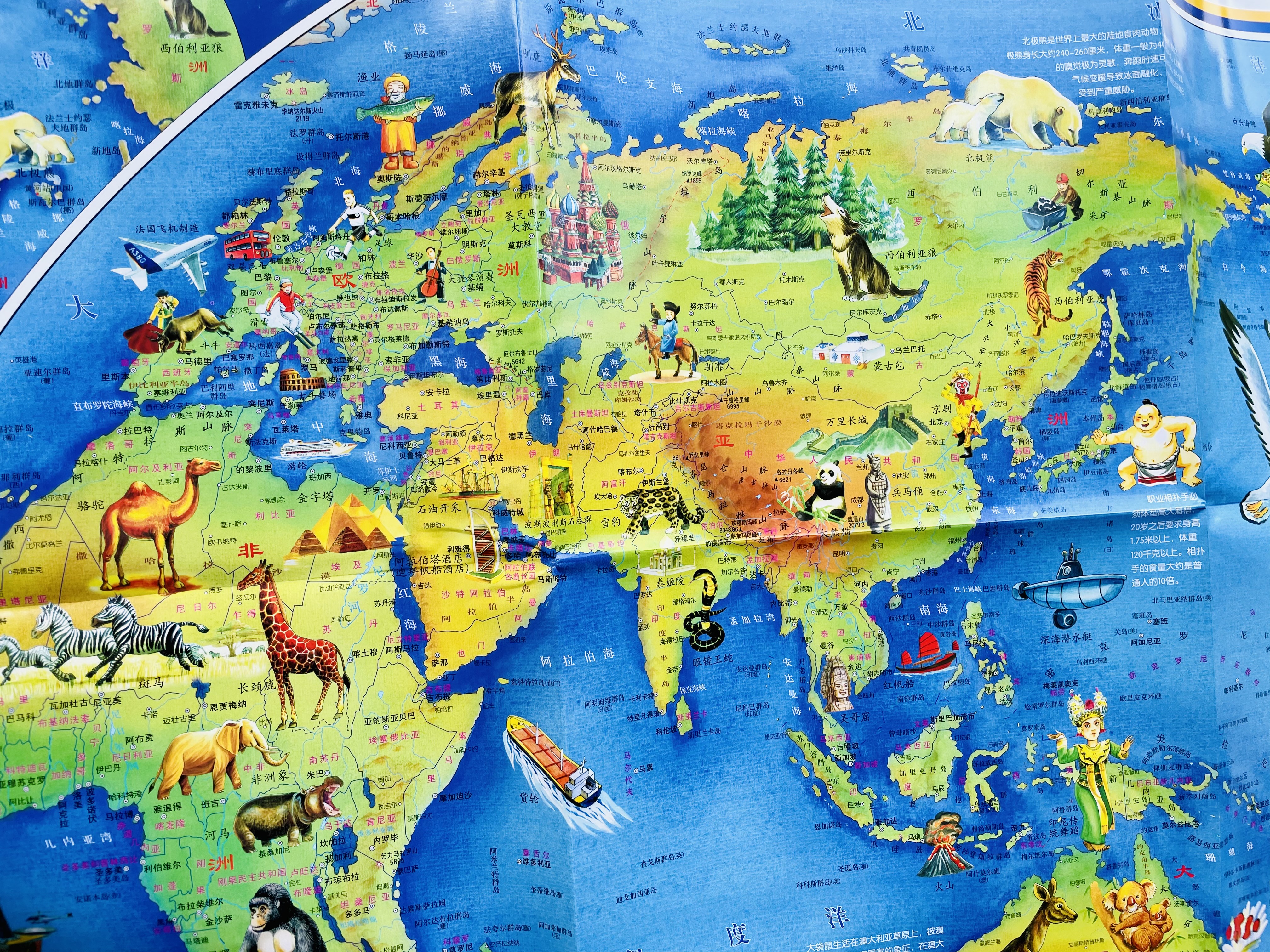 哈佛校长：每年带孩子去一个陌生的地方！没钱没时间咋办？找捷径