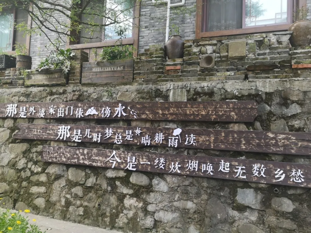 成都1.5刹拢!这个小众森林古镇,清凉耍水、网红拍照、喝茶休闲