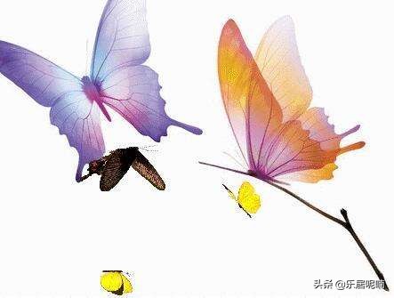 亦舒《直至海枯石烂》：再美丽的蝴蝶梦，醒来哪有什么海枯石烂