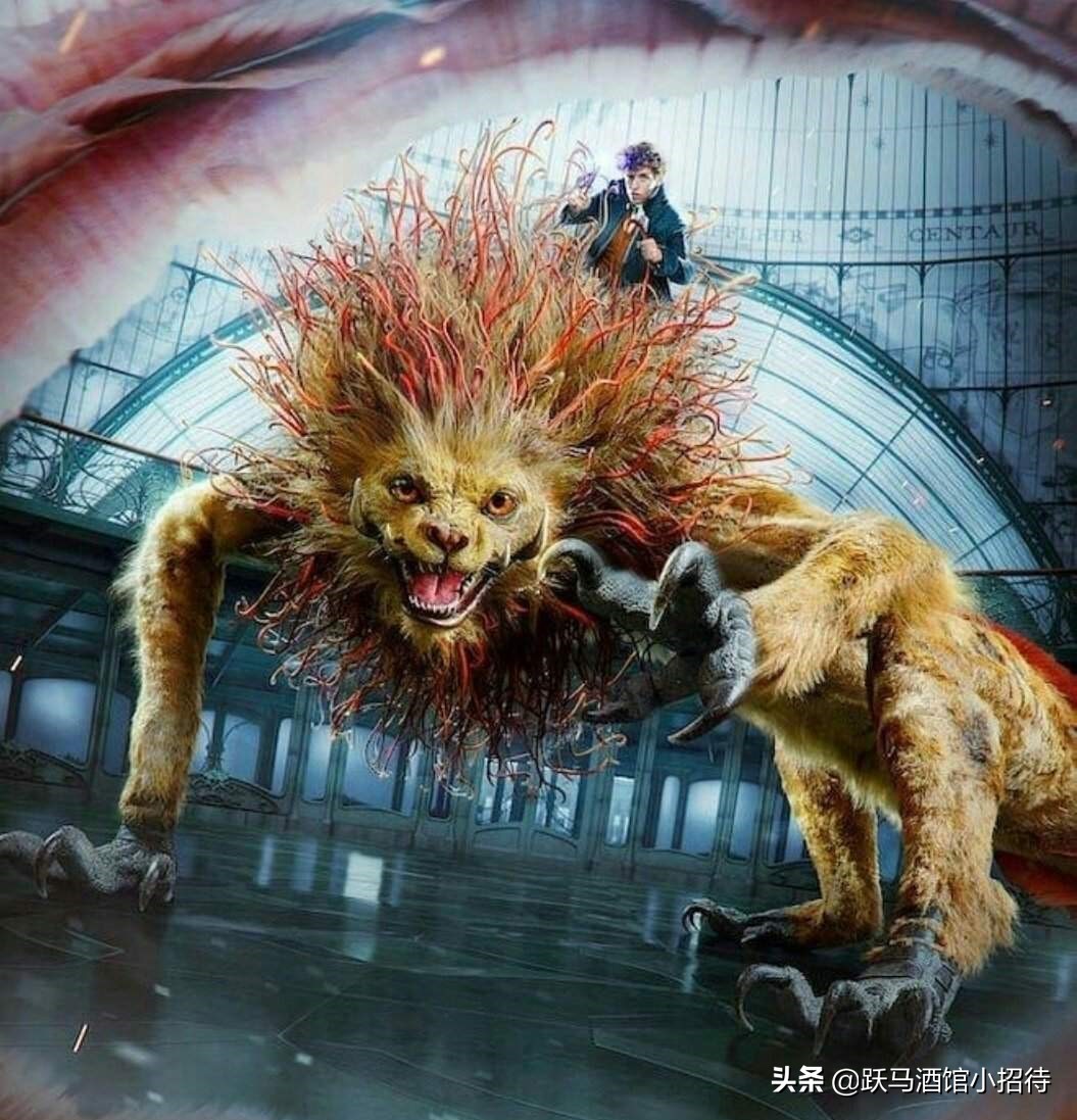 给麻瓜的《神奇动物百科》，魔法世界的动物到底有多神奇（长文）