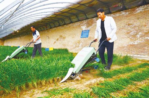 贾会计还是真精明？无差别收割200亿，他下周真的会回国吗？