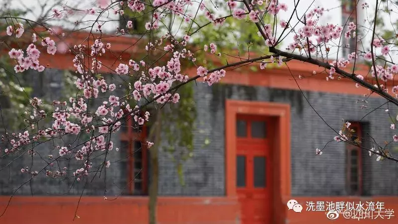 澧县一中离川大有多远？