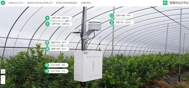 盘点10个区块链农业企业应用：90%以上发力农产品溯源