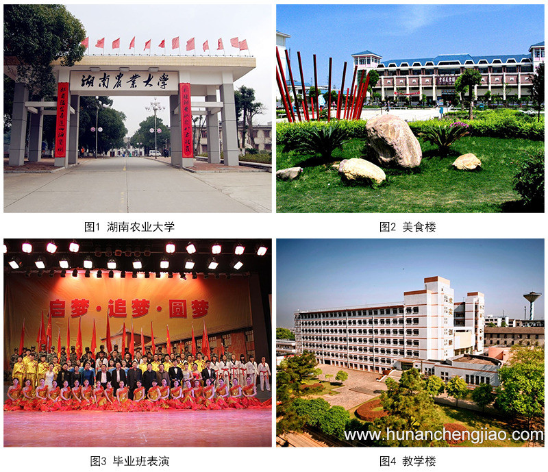 2020年湖南成人高考报考学校