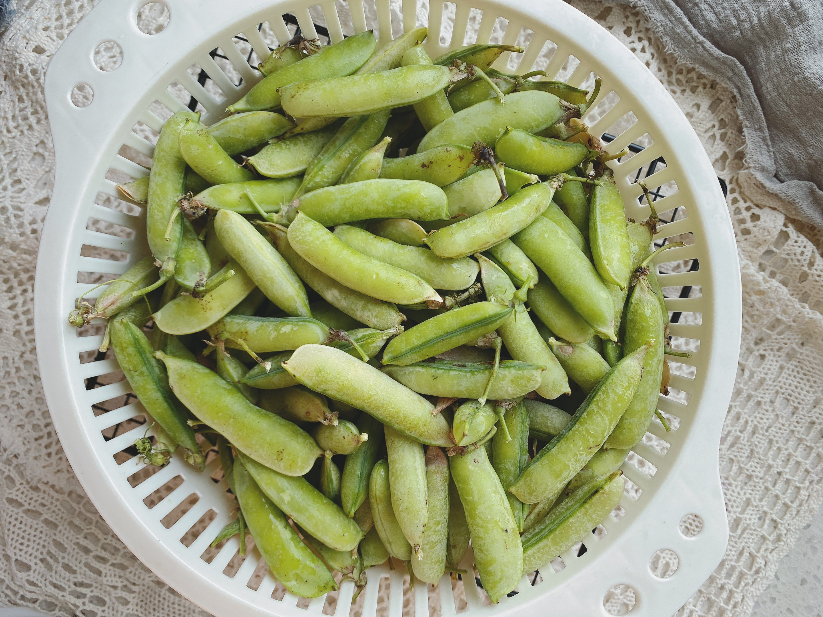 保存豌豆直接放冰箱就错了,教你一招,颜色翠绿,放一年都还新鲜