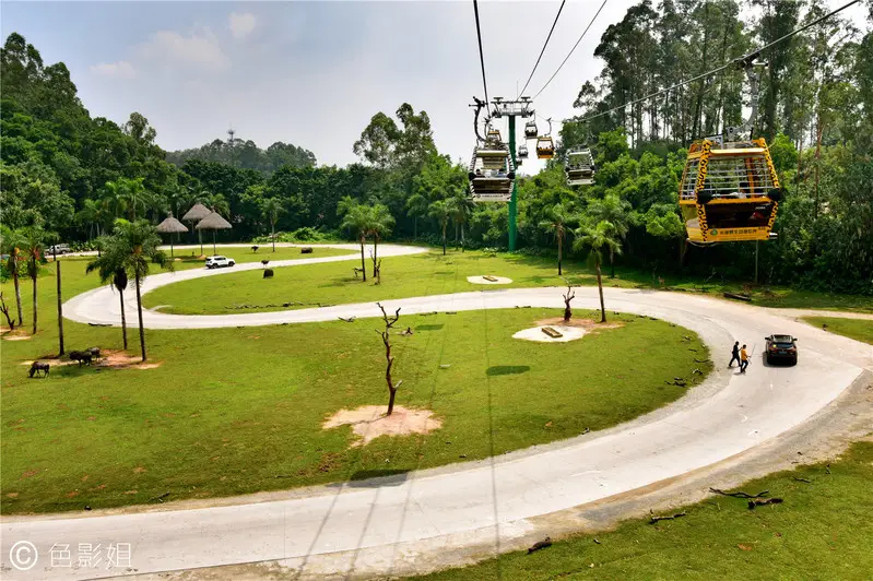 长隆欢乐世界旅游攻略景点必去（三天三夜欢乐长隆之旅）