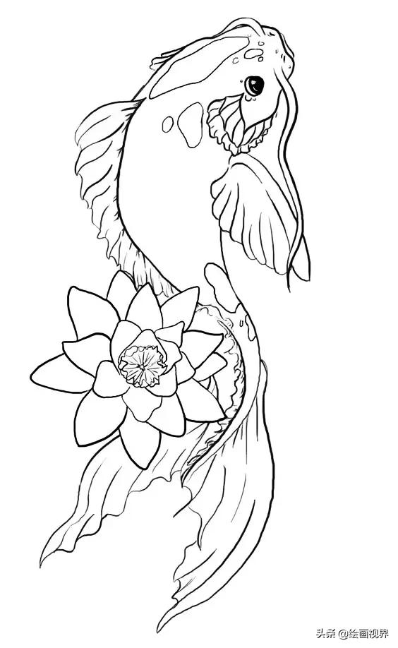 从线条到造型,教你用最简单的线条画最美的锦鲤