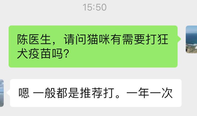 辟谣：狂犬疫苗和猫三联一样重要，所有猫咪都应该打狂犬疫苗